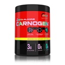 CARNOGEN BETA-ALANINE 300g
